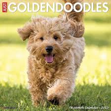 goldendoodle dog lover gifts décor