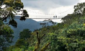 nyungwe national park inscribed