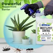 insect and pest control peppermint oil