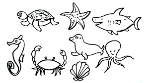 We did not find results for: How To Draw Sea Animals Drawing Easy Step By Step Drawing Drawing Tutorial Youtube