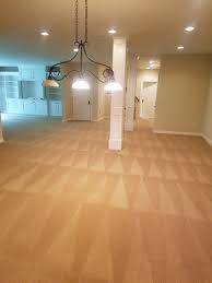 home ann arbor carpet cleaning