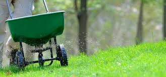 What Type Of Lawn Spreader To Use And How To Correctly Set