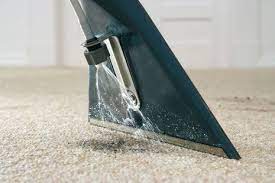 carpet cleaning kiwi services