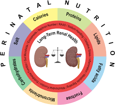 t on long term renal health
