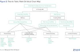 Investors Guide To Palm Oil Toptal