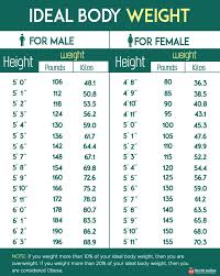 Top 20 Foods And Exercises To Increase Height Naturally