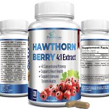 hawthorn berry 4 1 extract 120