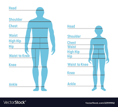 Man And Boy Size Chart Human Front Side