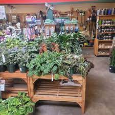 sloat garden center 30 photos 23