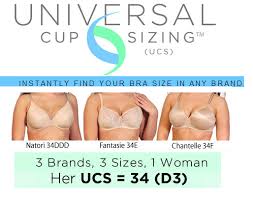 Finding A D Bra That Fits Universal Cup Size Ucs Herroom