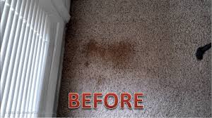 oxi fresh carpet cleaning fresno ca