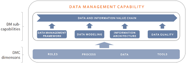 data management maturity 105