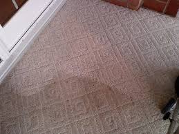 mw carpet cleaning unlimited reviews