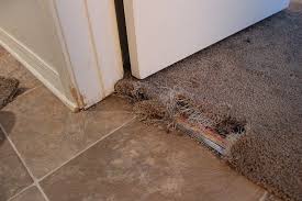 carpet repair mpls yep we fix carpet