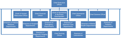 1 typical organizational chart for a