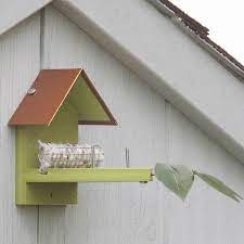 Duncraft Hummingbird Nest Builder