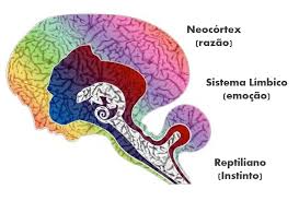 Conhecendo o seu cérebro: A teoria do Cérebro Trino - Bruno Ribeiro