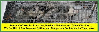 They will be able to inform you on. Skunk Possum Groundhog Removal Cleveland Columbus Akron