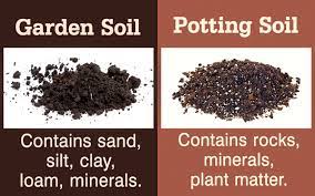 garden soil vs potting soil gardenerdy