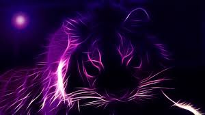 51 purple 4k wallpapers and background images. Purple Pc Wallpapers 4k Hd Purple Pc Backgrounds On Wallpaperbat