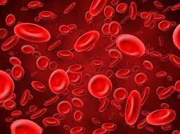Premium Vector | Red blood cells background