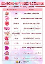 pink flower names learn the names of