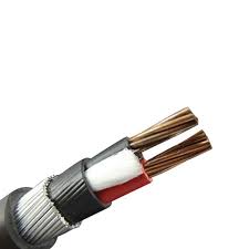 Polycab 10mm 2 Core Copper Armoured Cable