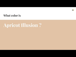 Apricot Illusion Color E2c3a6 Hex