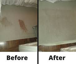 expert carpet cleaning rug cleaning