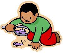 minibeasts – Willowbank School – Sungazers