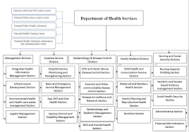 Organization Structure Department Of Health Services