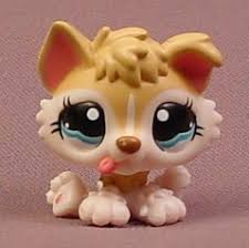Vind fantastische aanbiedingen voor husky puppies. Littlest Pet Shop 1013 Tan Cream Baby Husky Puppy Dog With Fancy Blue Eyes Tongue Sticking Out Rons Rescued Treasures