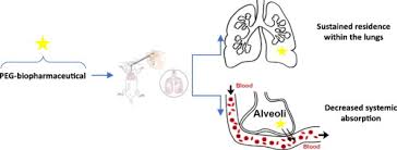 Improving The Pulmonary Delivery Of Biopharmaceuticals By Pegylation