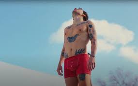 Harry Styles shows off his toned body as he strips down to boxers in video  for new single As It Was | The Sun