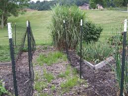 Plants Diy Garden Fence