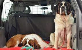 12 Best Dog Car Barriers [2022 Reviews]: Keep Your Canine in the Back Seat!