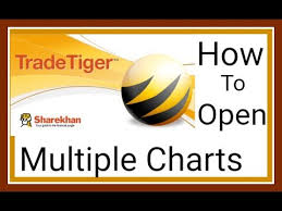 How To Open Multiple Charts In Trade Tiger How To Open More Charts