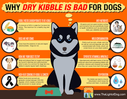 why dry kibble is bad for dogs the