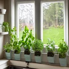 Kitchen Window Herb Planter Garden