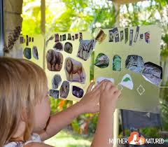 Check spelling or type a new query. Awesome Animal Classification Activities For Kids Mother Natured