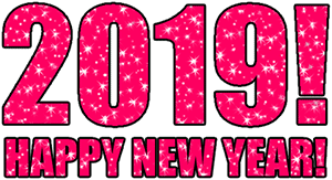 Image result for happy new year 2019 gif