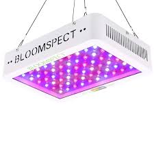 Bloomspect 600w Led Grow Lights Review