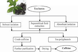 Process For The Isolation Of Caffeine From Green Tea Color