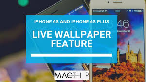 how to use live wallpapers on iphone 6s