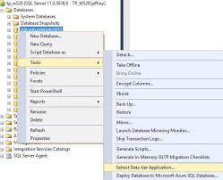 copy a sql server database with just