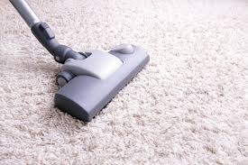 dry powder carpet cleaner reviews