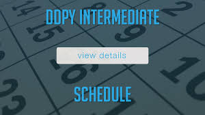 ddpy interate schedule ddy on