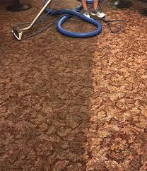 eco carpet cleaning redmond oregon