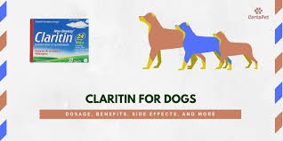 tablets with the claritin dosage for dog