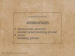 Meaning Of Stratorium In Latin English